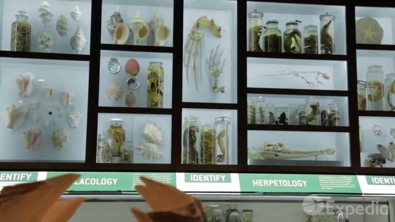 Philadelphia Vacation Travel Guide Expedia~1 online video cutter com