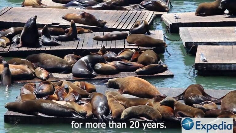 San Francisco Vacation Travel Guide Expedia