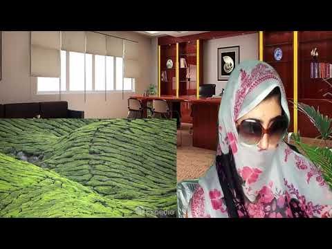 Pakistani React To | Malaysia Vacation Travel Guide Expedia | Full Video